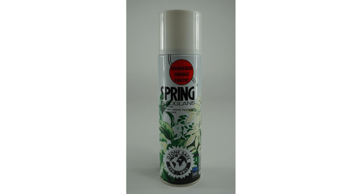 Spring bladglans 10 oz 250 ml.