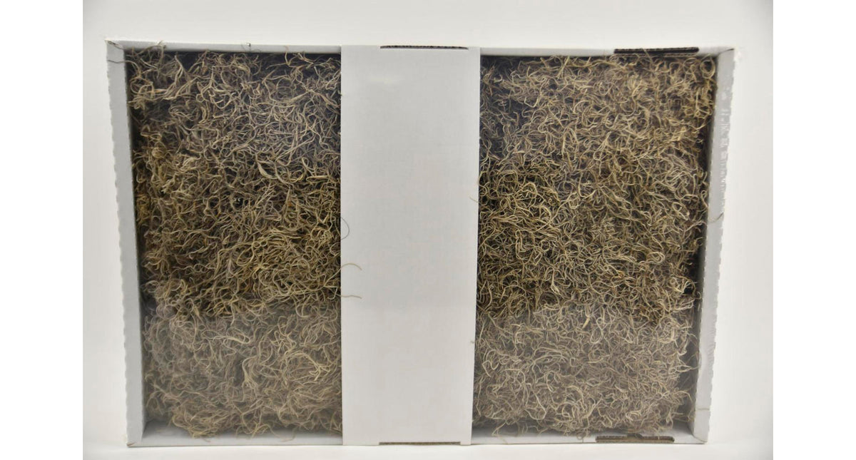 Tillandsia bulk natuur 2,5kg