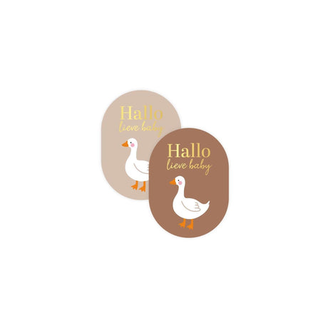 Kassaplan stickers hallo lieve baby + gans 43x59mm 250st