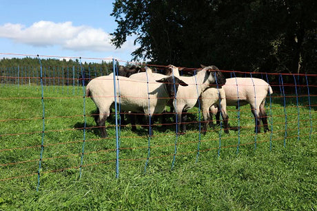 Ako producten schapennettitan premium 90cmx50m dubbel pen blauworanje