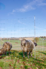 Ako producten schapennet ovinet blauw wit 170cm x 25m dubbele pen
