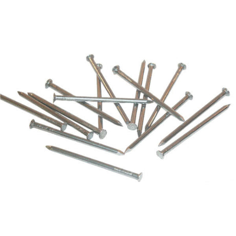 Producten spijkers ruitkop blank 5kg 2 4x45
