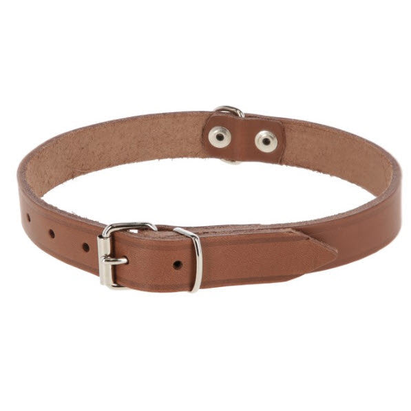 Producten hondenhalsband leer 18mm taupe