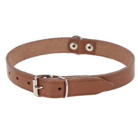 Producten hondenhalsband leer 20mm taupe