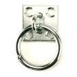 Producten muurplaat met ring 8mm rvs