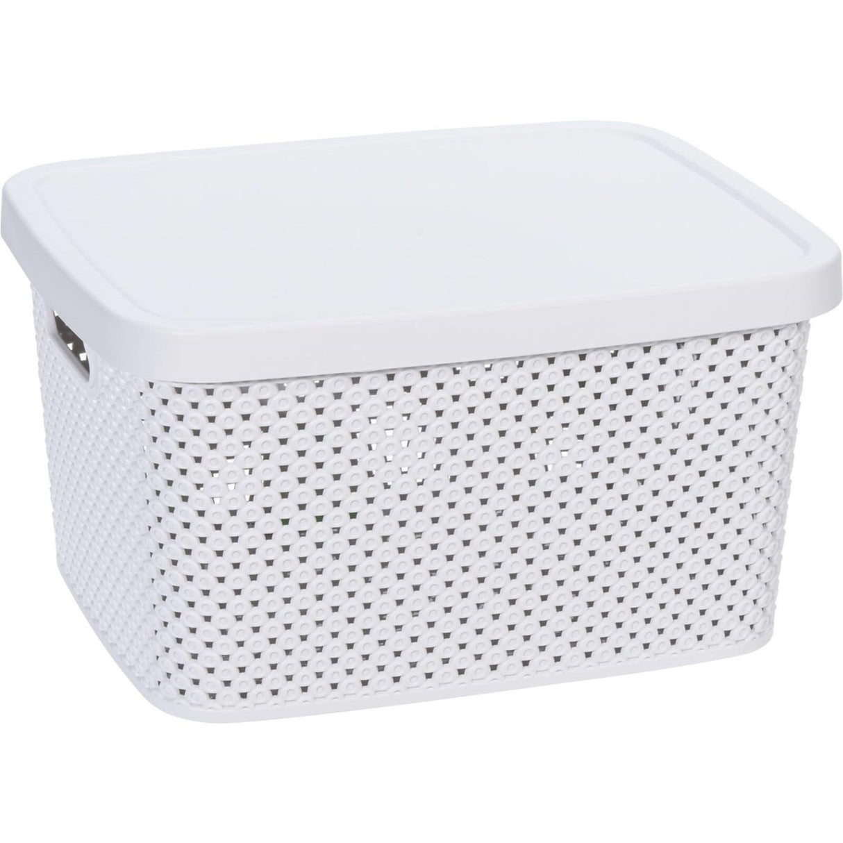 Storage solutions opbergdoos met deksel 4ass kl