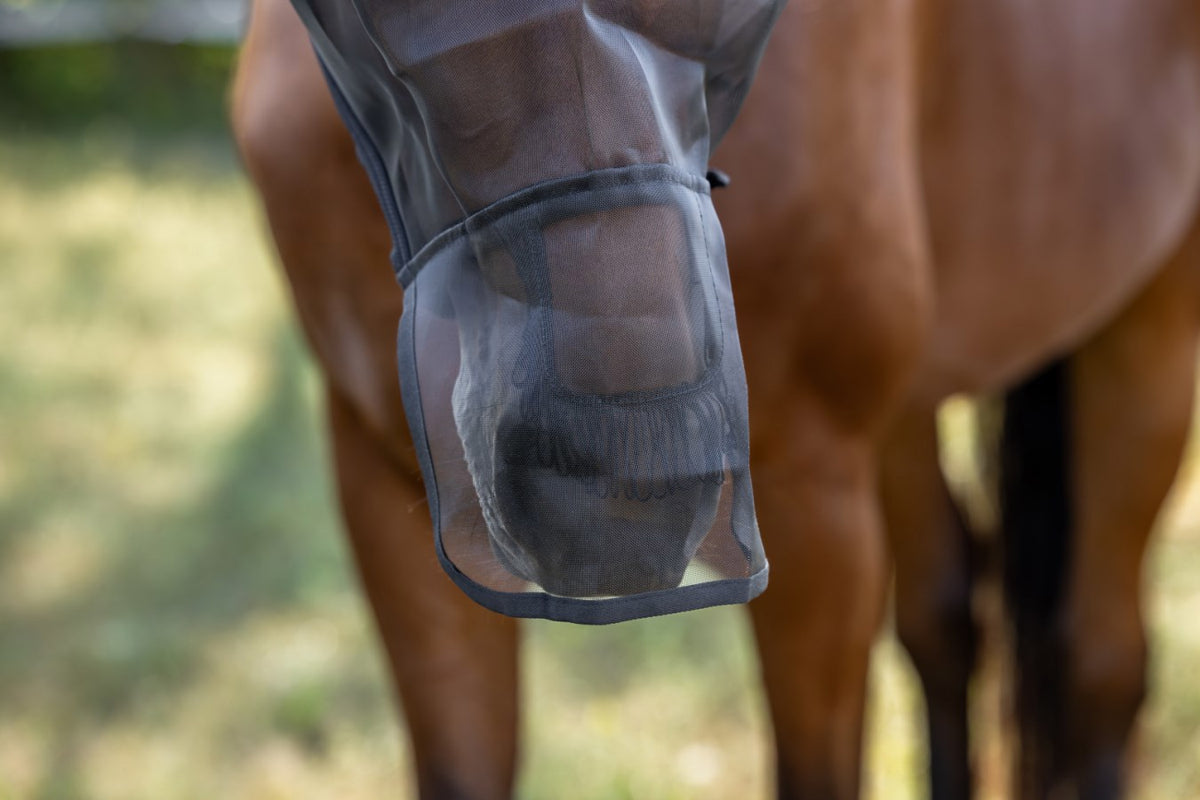 Producten vliegenmasker met oor en neus bescherming pony