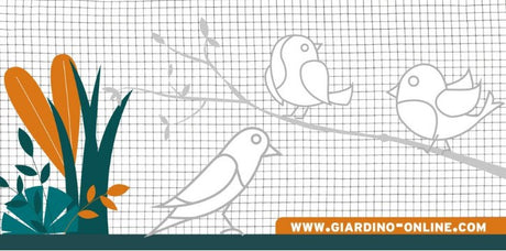 Giardino producten gaas gelast verzinkt 12 7 0 8 1 01m x 5m