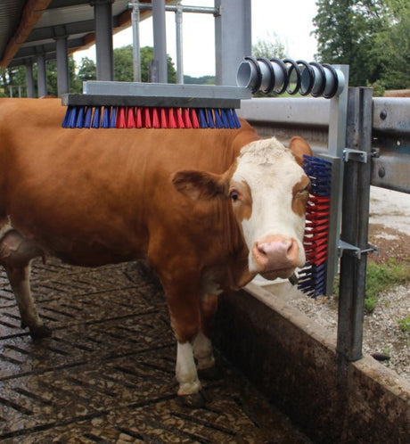 Producten veeborstelset kerbl