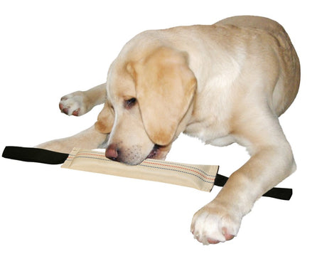 Producten trainingsdummy 31 cm blijft drijven