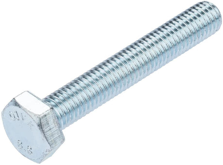 Pletscher zeskantbout hex screw m10 x 65mm