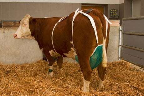 Producten uiernet compleet