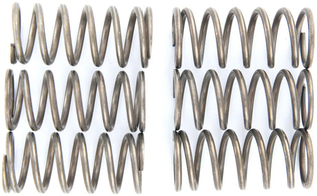 Trw koppelingsveer set mef1 clutch spring kit mef138-6