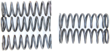 Trw koppelingsveer set mef1 clutch spring kit mef144-5