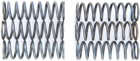 Trw koppelingsveer set mef1 clutch spring kit mef144-6