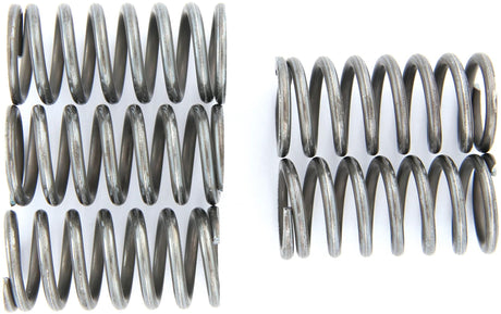 Trw koppelingsveer set mef1 clutch spring kit mef159-5
