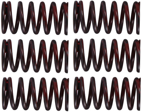 Trw koppelingsveer set mef3 clutch spring kit mef320-6