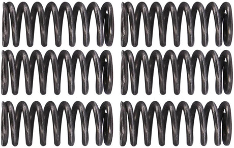 Trw koppelingsveer set mef1 clutch spring kit mef162-6