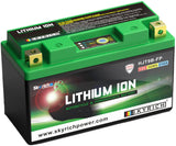 Skyrich lifepo4 batterie hjt9b-fp battery hjt9b-fp-si lithium