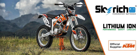 Skyrich lifepo4 batterij hjtz14s-fp battery hjtz14s-fp-si lithium