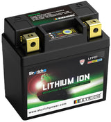 Skyrich lifepo4 batterij lfp01 battery lfp01-i lithium