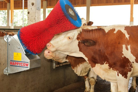 Producten happycow koeborstel uno horizontaal