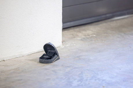 Producten rattenval kunststof cit ratstop