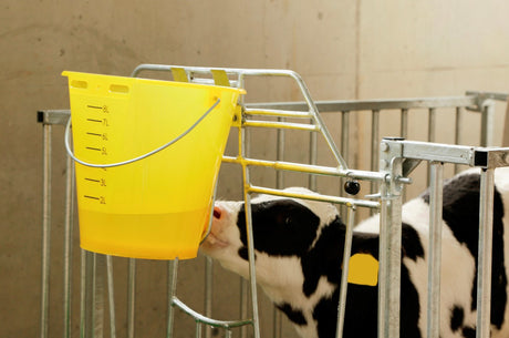 Producten kalveremmer kunststof afgeplat kaal geel transparant