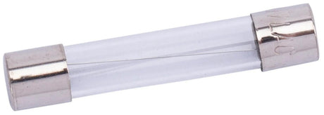 Spahn glaszekering glass fuses 10a 6x32 mm (10pcs)