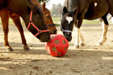 Producten voeder speel bal rood