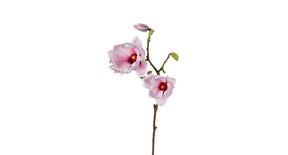 Magnolia l73cm roze