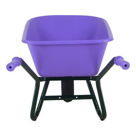Fort producten kruiwagen tk 100 lavendel