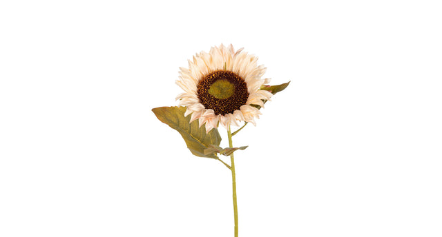 Zonnebloem l74cm creme