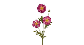 Ranonkel butterfly l70cm cerise