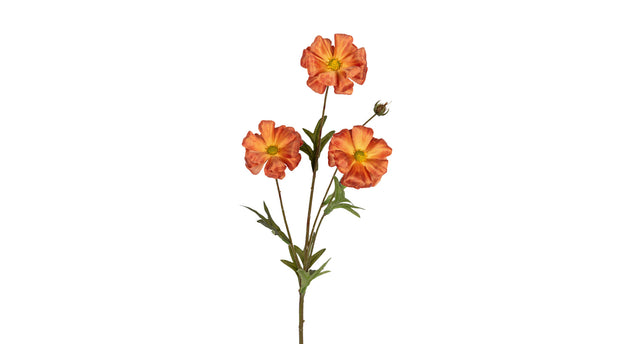 Ranonkel butterfly l70cm oranje