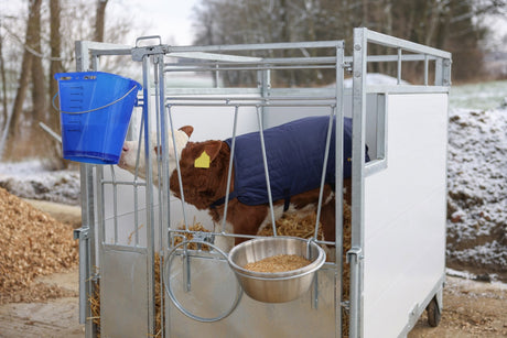 Producten kalveremmer kunststof afgeplat kaal blauw transparant