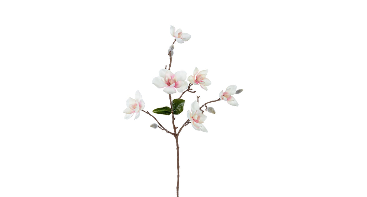 Magnolia l63cm creme roze