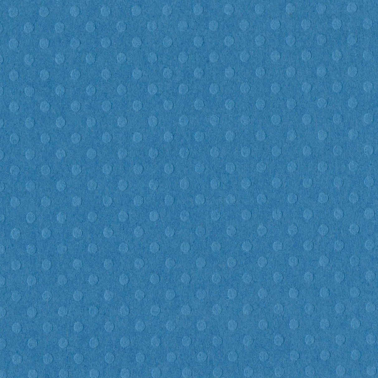 Bazzill • dot swiss 30,5x30,5cm surfs up
