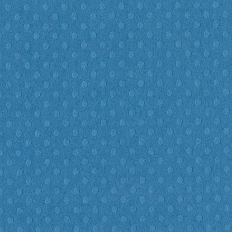 Bazzill • dot swiss 30,5x30,5cm surfs up