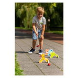 Outdoor spielen Outdoor -Holztiere Krocket Krocket