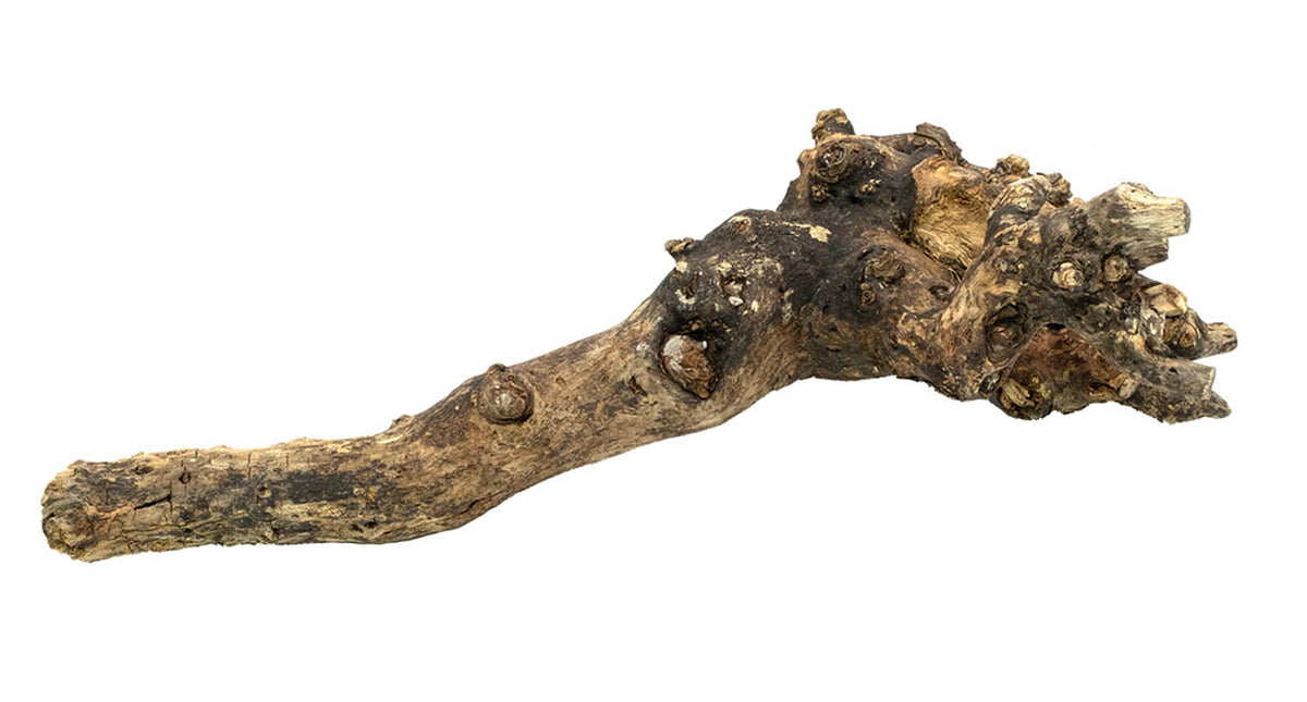 Houtstronk ca.50-60cm naturel
