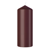 Bolsius stompkaars 150 58 velvet red