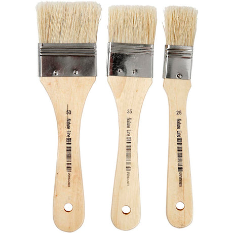 Creativ company http: www.cchobby.nl vernis-lak-kwasten-l-19-cm-b-25-50-mm-plat-3-stuk-1-doos