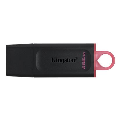 Kingston DataTraveler Esodia 256 GB