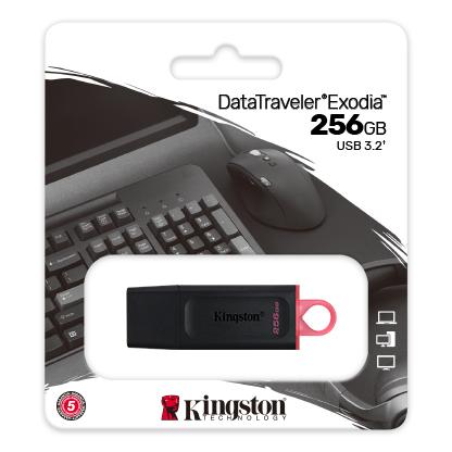 Kingston DataTraveler Esodia 256 GB