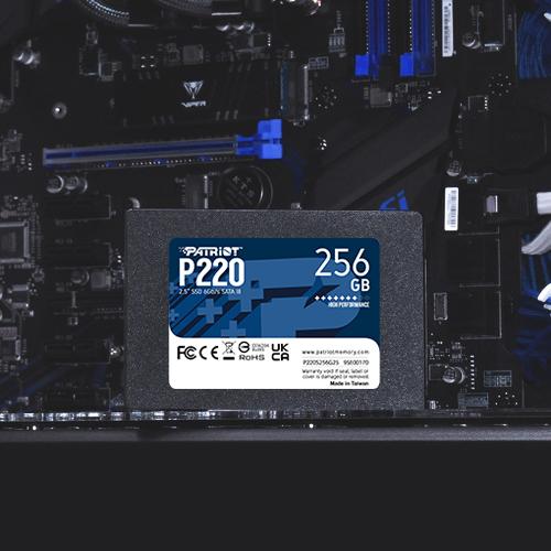 Patriot Patriot P220 256 GB