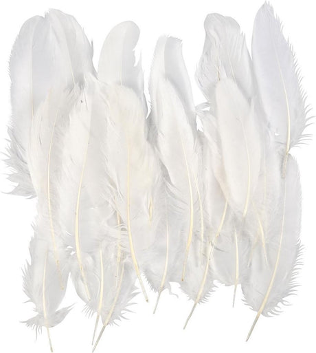 Creativ company veren - ganzenveren - decoratief - wit - afm. 10-18cm - creotime - 70 stuks