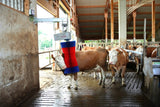 Producten happycow koeborstel maxiswing