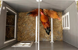Producten kippenhok eco stal kunststof barney