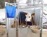 Producten kalveremmer kunststof afgeplat kaal blauw transparant